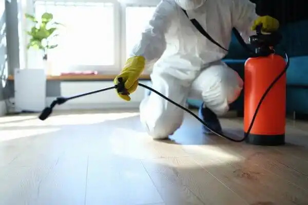 pest control New Hamilton